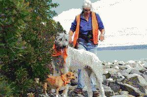 dog1